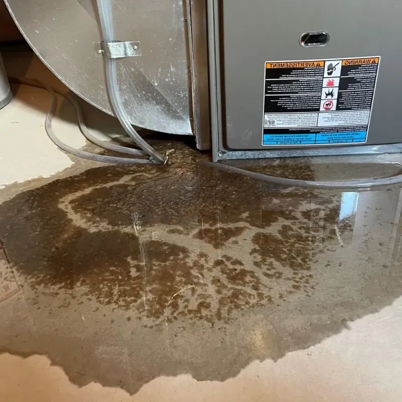 Pipe Burst and Leak Restoration in Dorchester County, MD