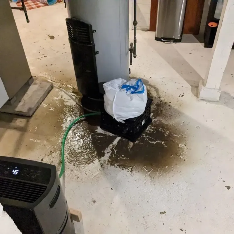 Sewage Backup Cleanup Service in Dorchester County, MD